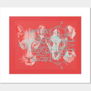 Sacred Lion Geometry Posters and Art